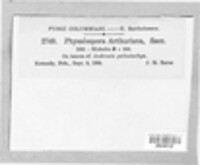 Image Associated With the Occurence
